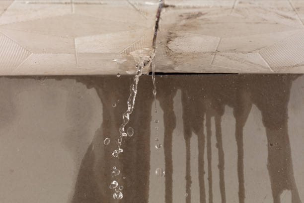 Professional Structural Drying technician working in Lexington, MO